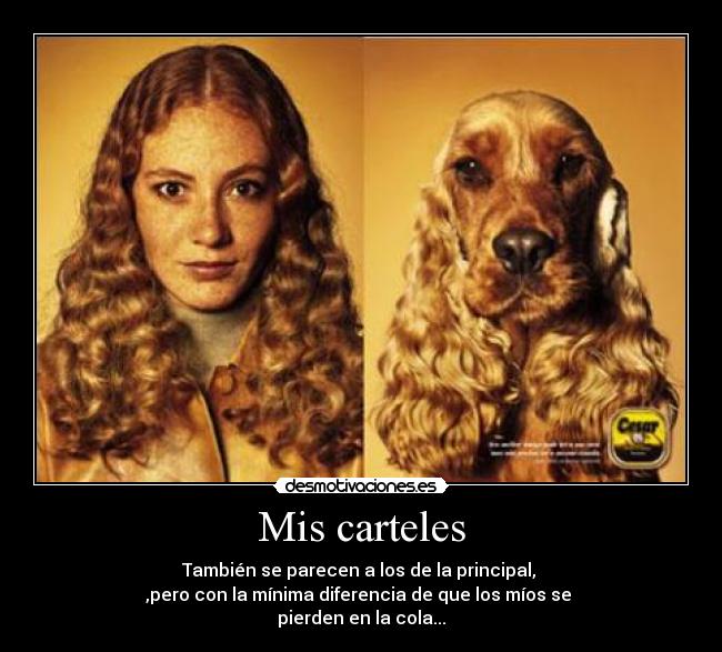 Mis carteles - También se parecen a los de la principal, 
,pero con la mínima diferencia de que los míos se 
pierden en la cola...