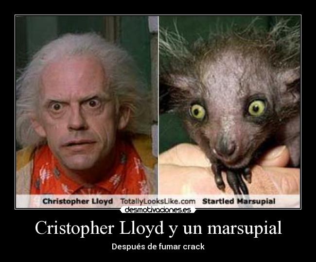 Cristopher Lloyd y un marsupial - Después de fumar crack