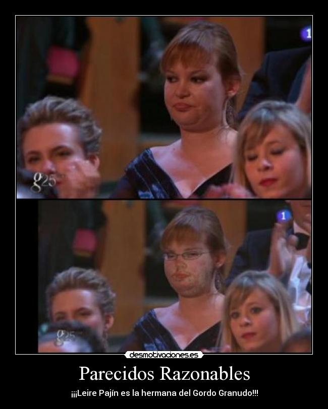 Parecidos Razonables - 