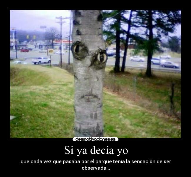 Si ya decía yo - que cada vez que pasaba por el parque tenía la sensación de ser observada...