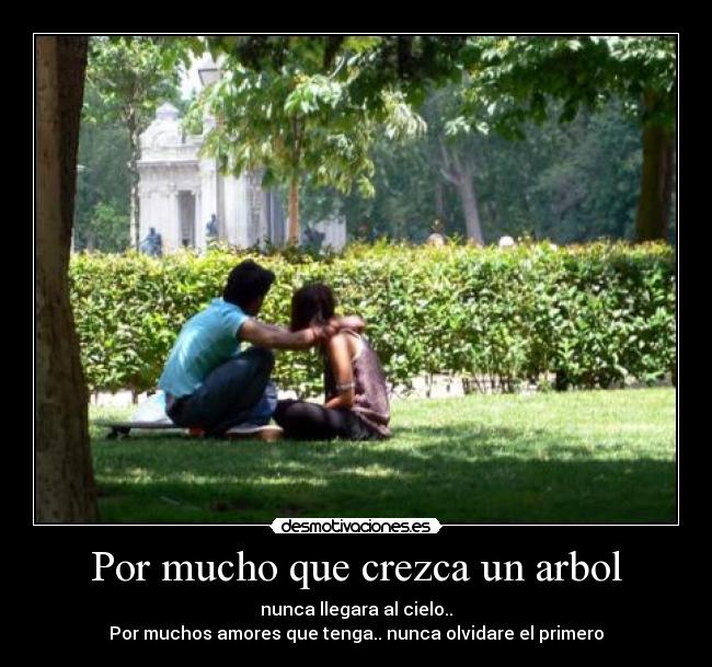 Por mucho que crezca un arbol - 