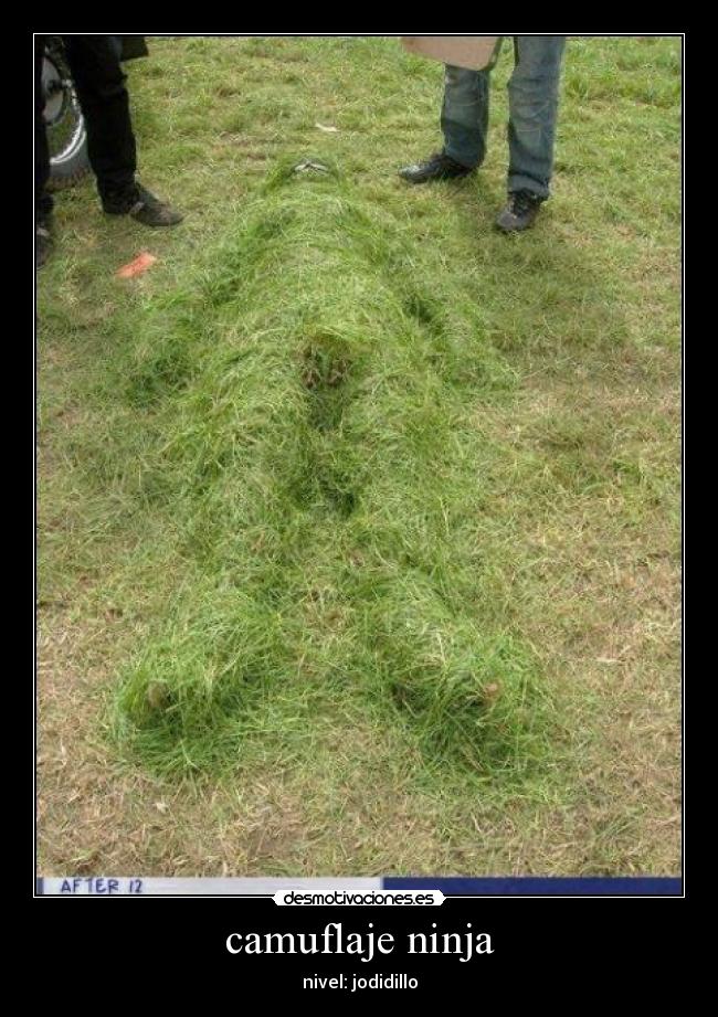 carteles ninya desmotivaciones