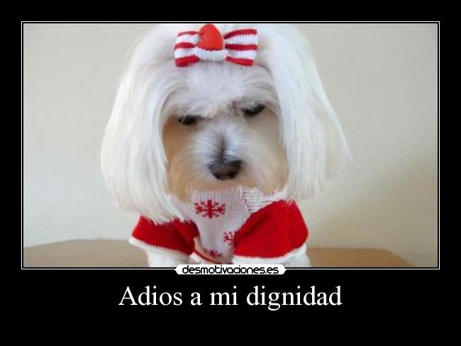 Adios a mi dignidad -