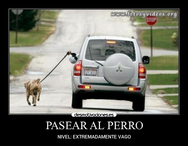 PASEAR AL PERRO - 