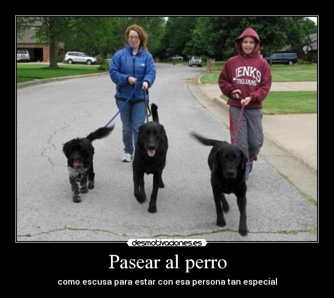 Pasear al perro -