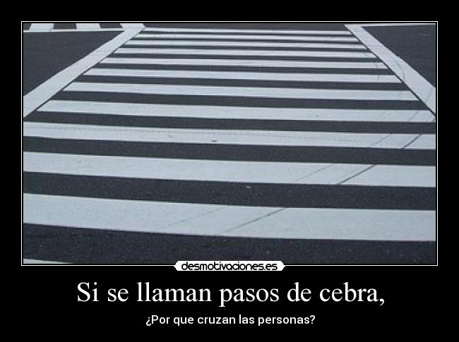 Si se llaman pasos de cebra, -