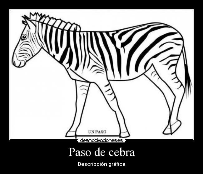 Paso de cebra - Descripción gráfica