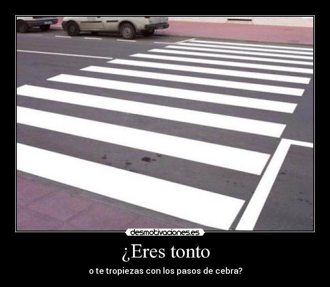 ¿Eres tonto - o te tropiezas con los pasos de cebra?