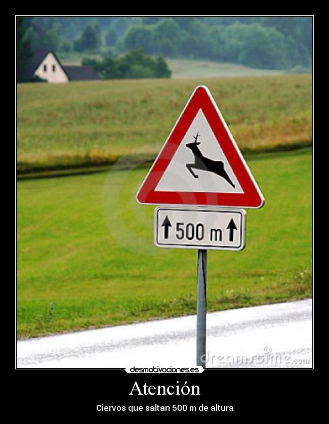 carteles ciervos desmotivaciones