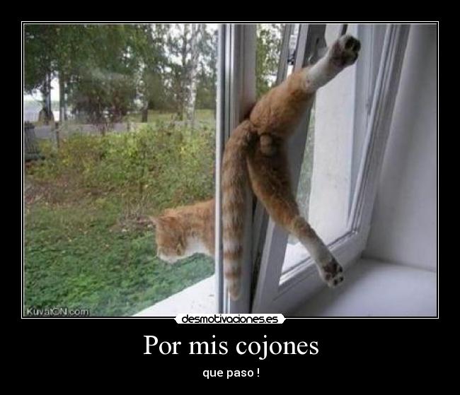 Por mis cojones -