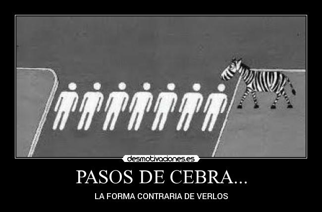 PASOS DE CEBRA... -