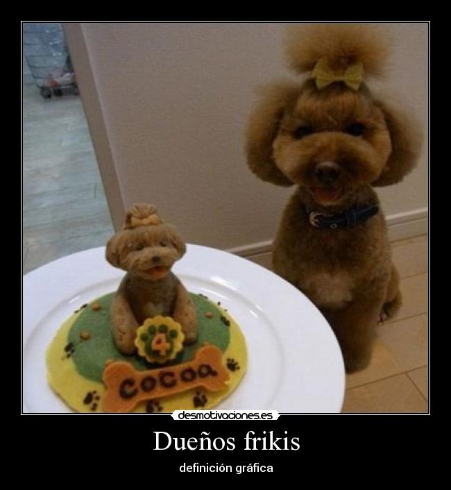 Dueños frikis -