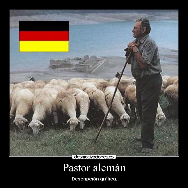 Pastor alemán - 