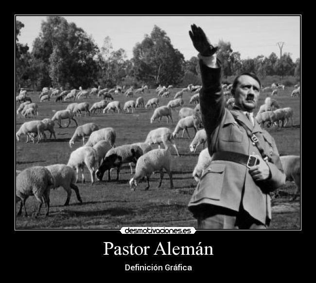 Pastor Alemán - Definición Gráfica