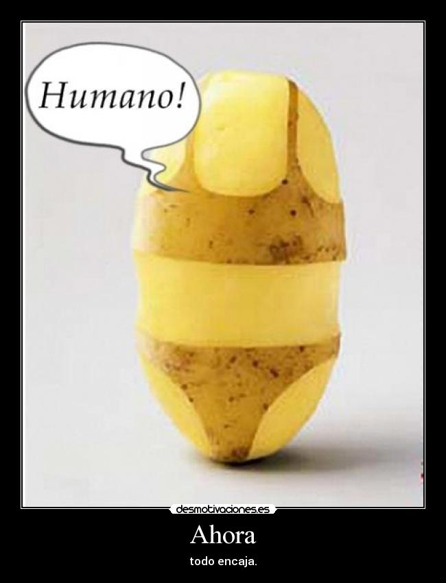 Ahora - todo encaja.