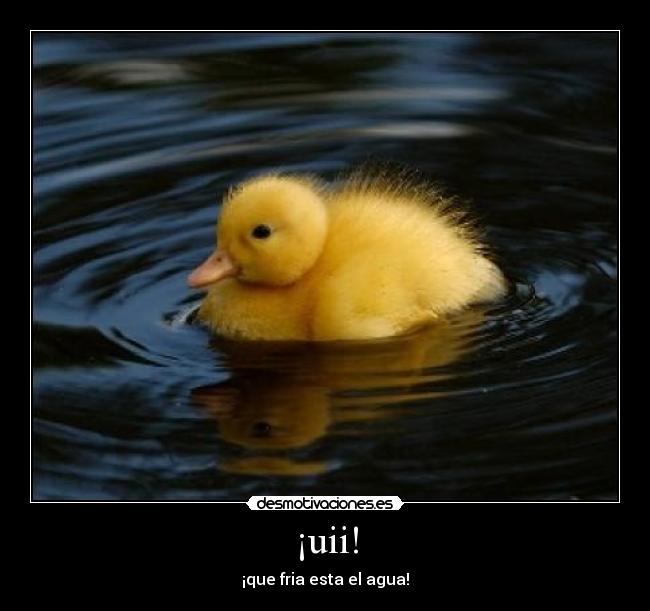 ¡uii! - 
