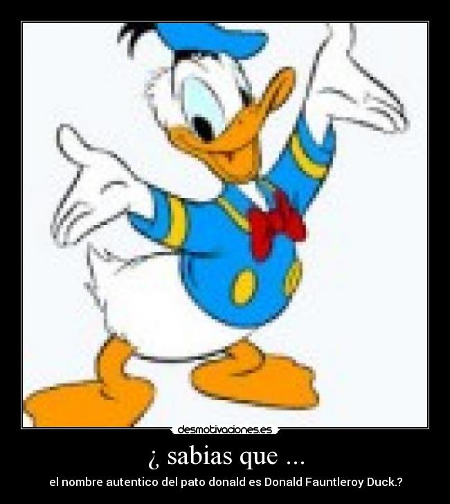 ¿ sabias que ... - el nombre autentico del pato donald es Donald Fauntleroy Duck.?