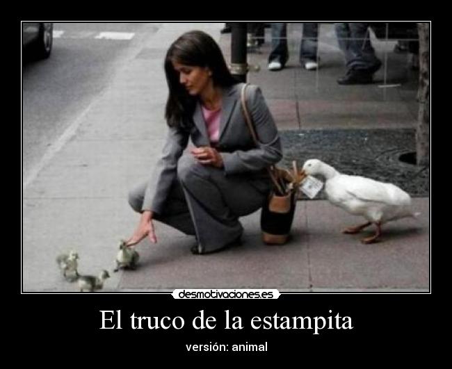El truco de la estampita - versión: animal