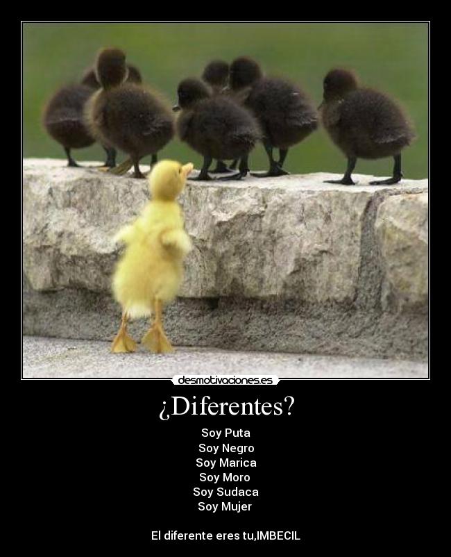 ¿Diferentes? -