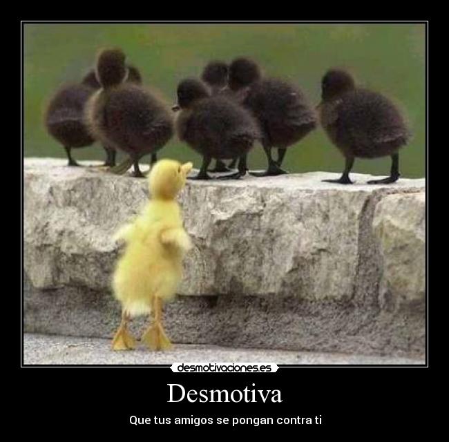 Desmotiva - Que tus amigos se pongan contra ti