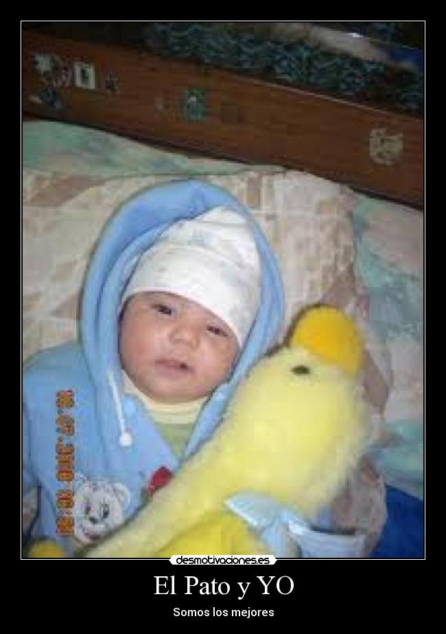 El Pato y YO - 