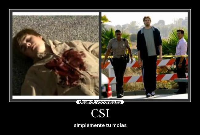 CSI - simplemente tu molas