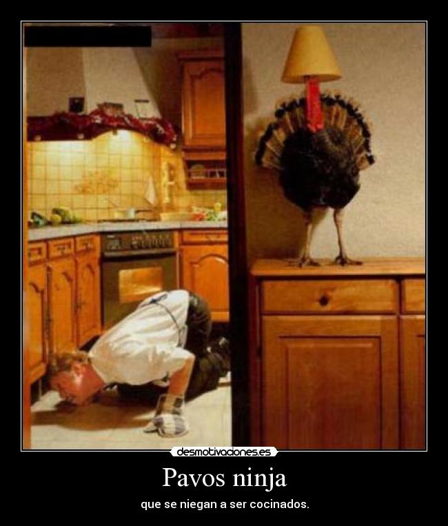 Pavos ninja -