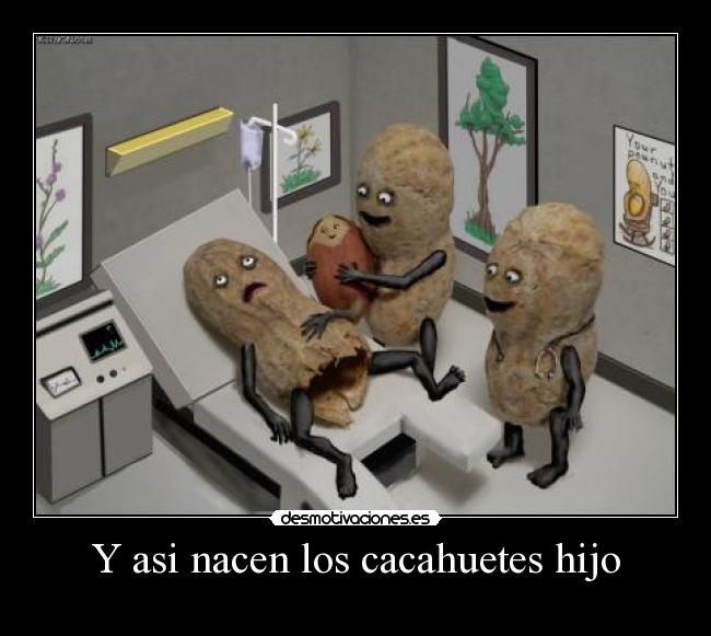 Y asi nacen los cacahuetes hijo -
