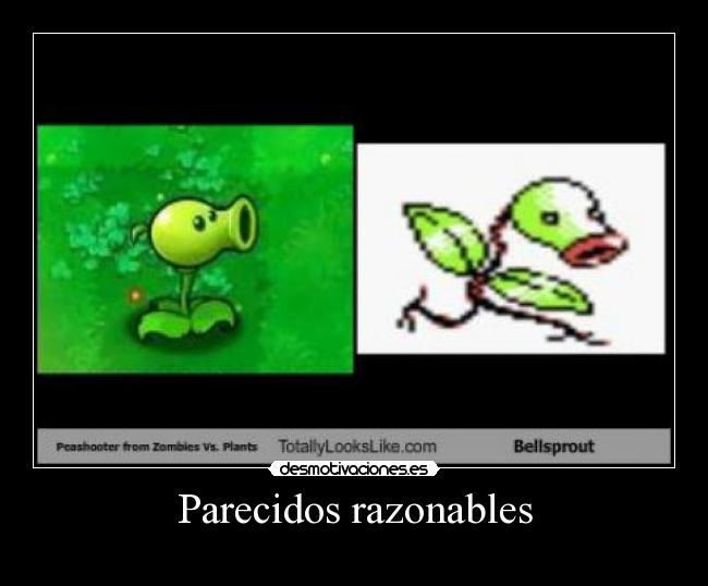 Parecidos razonables -