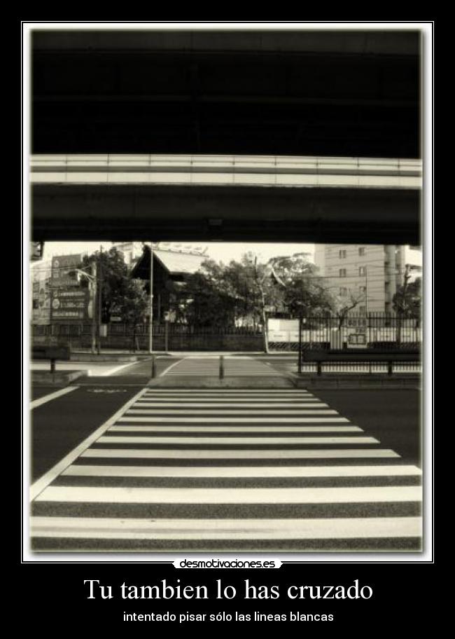 Tu tambien lo has cruzado - intentado pisar sólo las lineas blancas
