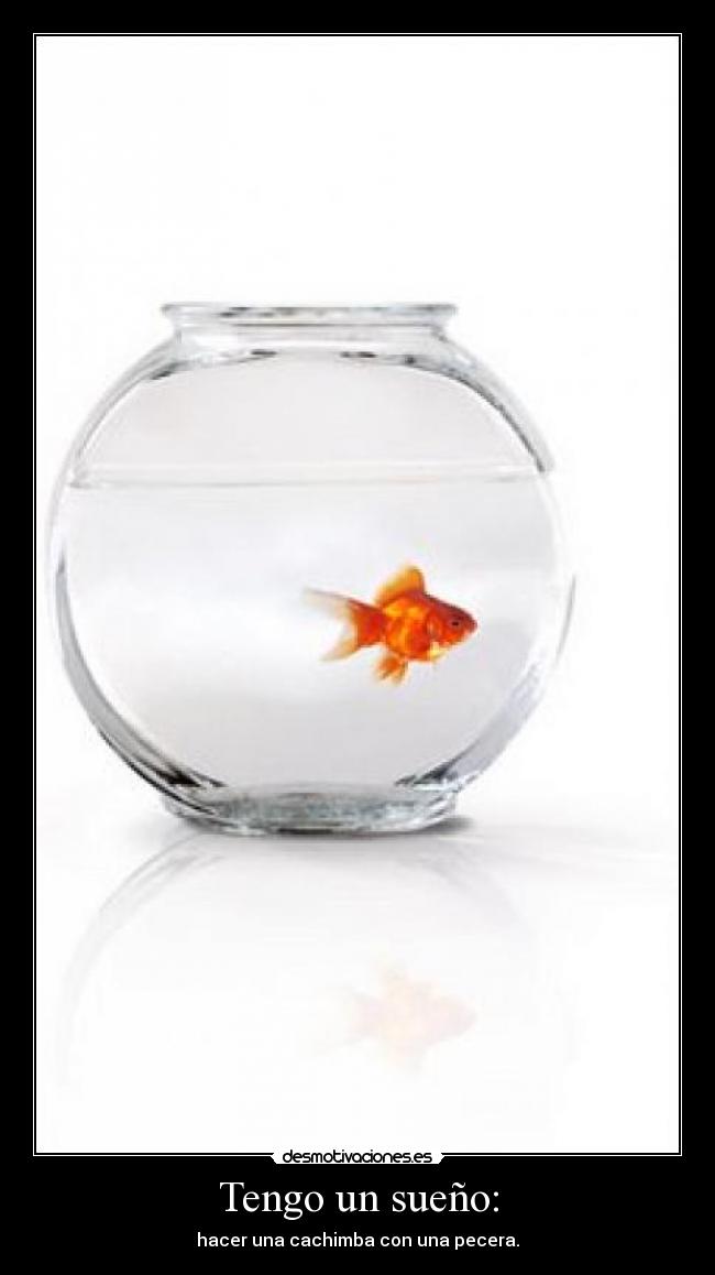 Tengo un sueño: - hacer una cachimba con una pecera.