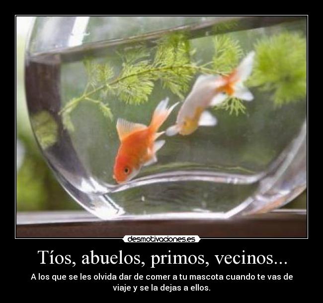 Tíos, abuelos, primos, vecinos... - A los que se les olvida dar de comer a tu mascota cuando te vas de
viaje y se la dejas a ellos.
