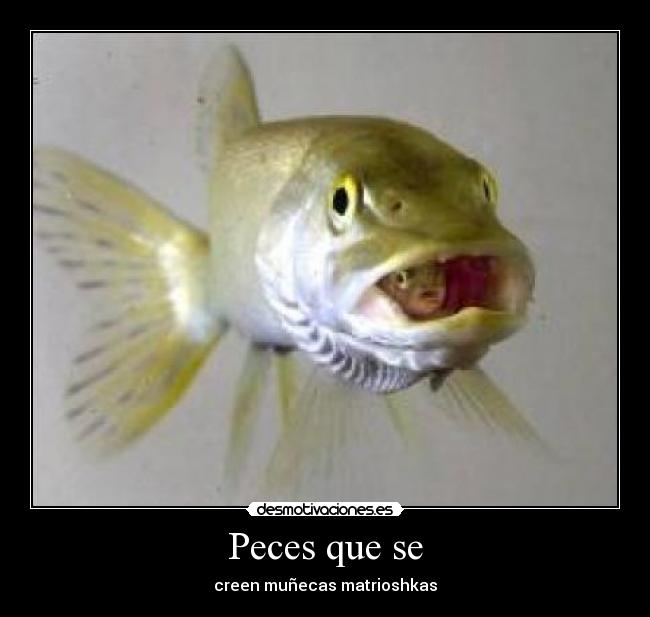 Peces que se -