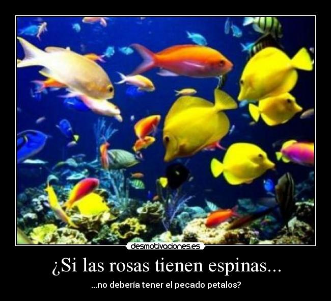 ¿Si las rosas tienen espinas... - 
