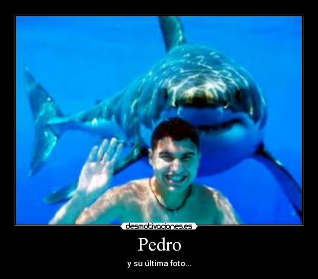 Pedro -