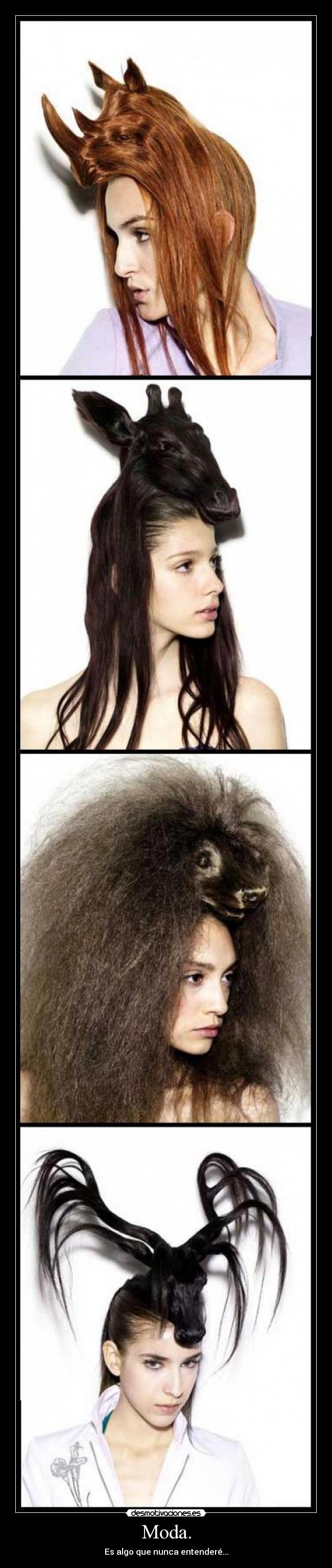 Moda. - Es algo que nunca entenderé...