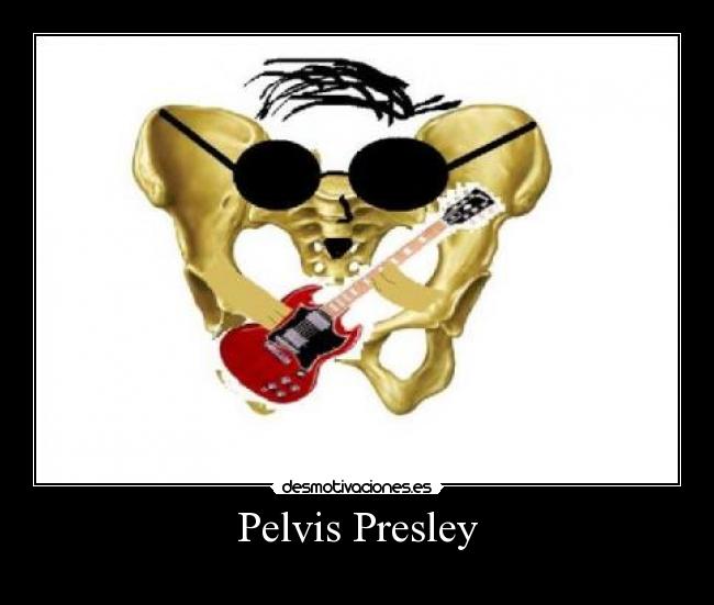 carteles pelvis presley desmotivaciones