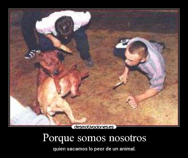 Porque somos nosotros - quien sacamos lo peor de un animal.