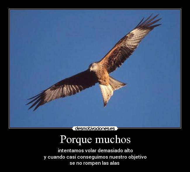 Porque muchos -