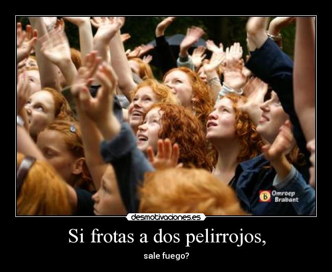 Si frotas a dos pelirrojos, -