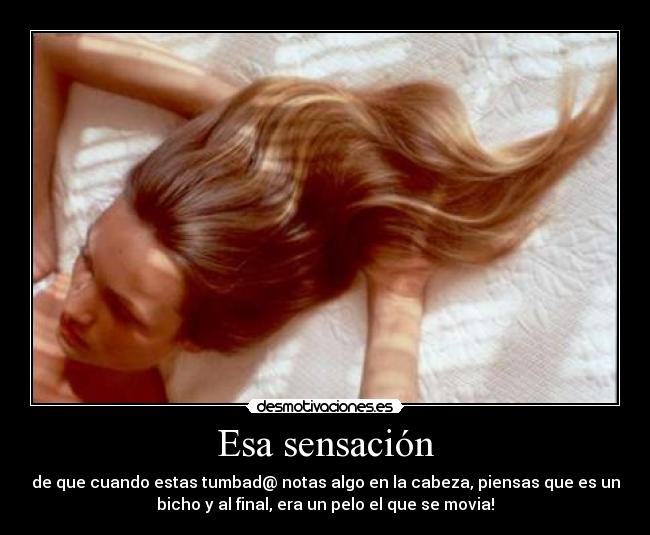 carteles esa sensacion desmotivaciones