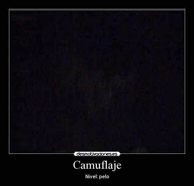 Camuflaje - Nivel: pelo