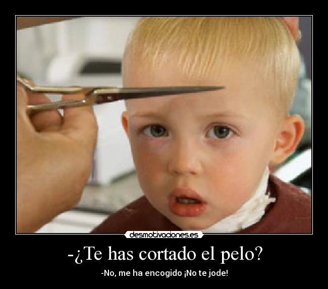 -¿Te has cortado el pelo? - 