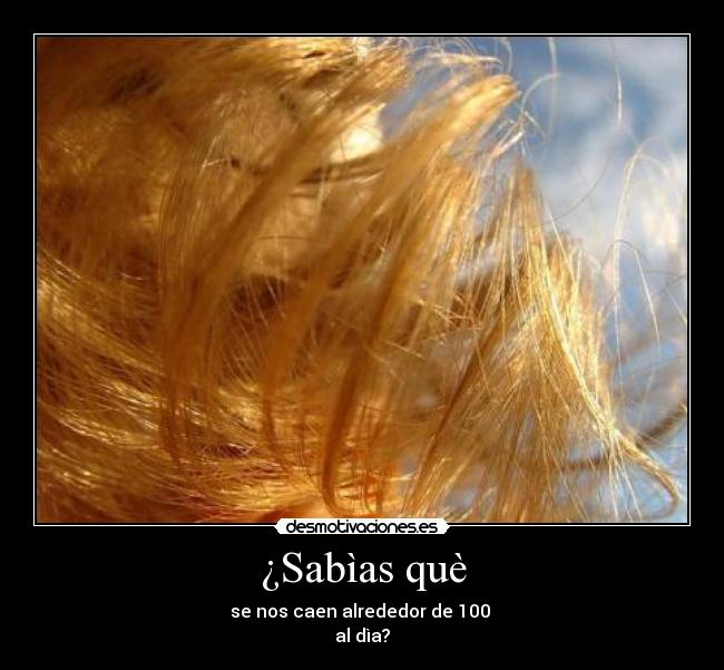 ¿Sabìas què - se nos caen alrededor de 100
al dìa?