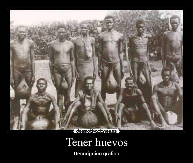 Tener huevos - Descripción gráfica