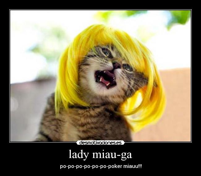 lady miau-ga -