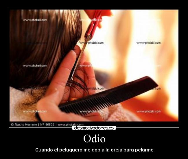 Odio - 