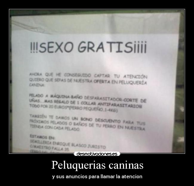 Peluquerias caninas - 