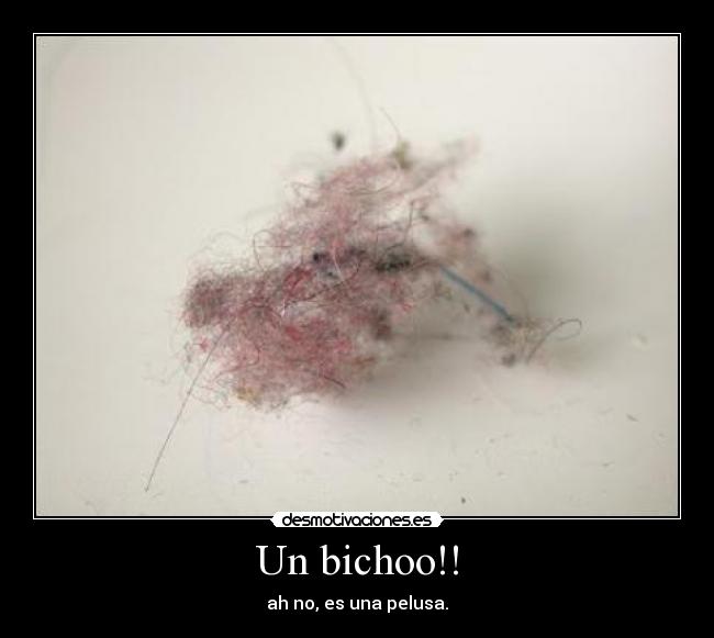 Un bichoo!! - 