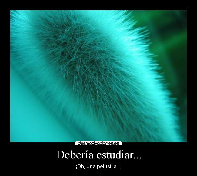 Debería estudiar... - ¡Oh, Una pelusilla.. !